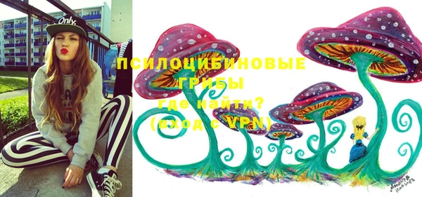 мдма Снежногорск