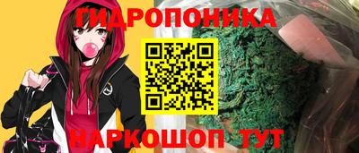 молекула духа Коммунар