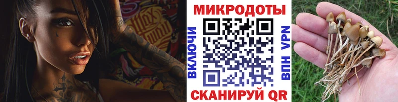 Галлюциногенные грибы Cubensis Лыткарино
