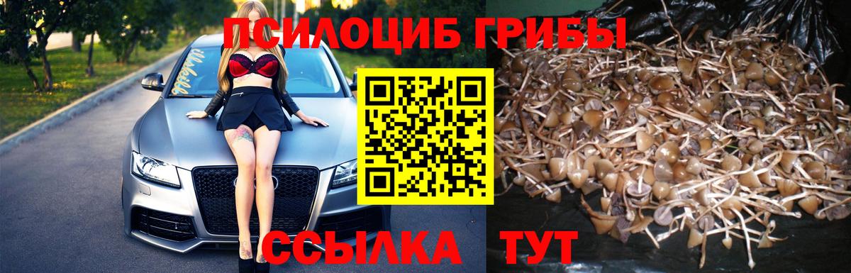 Псилоцибиновые грибы мицелий Лыткарино