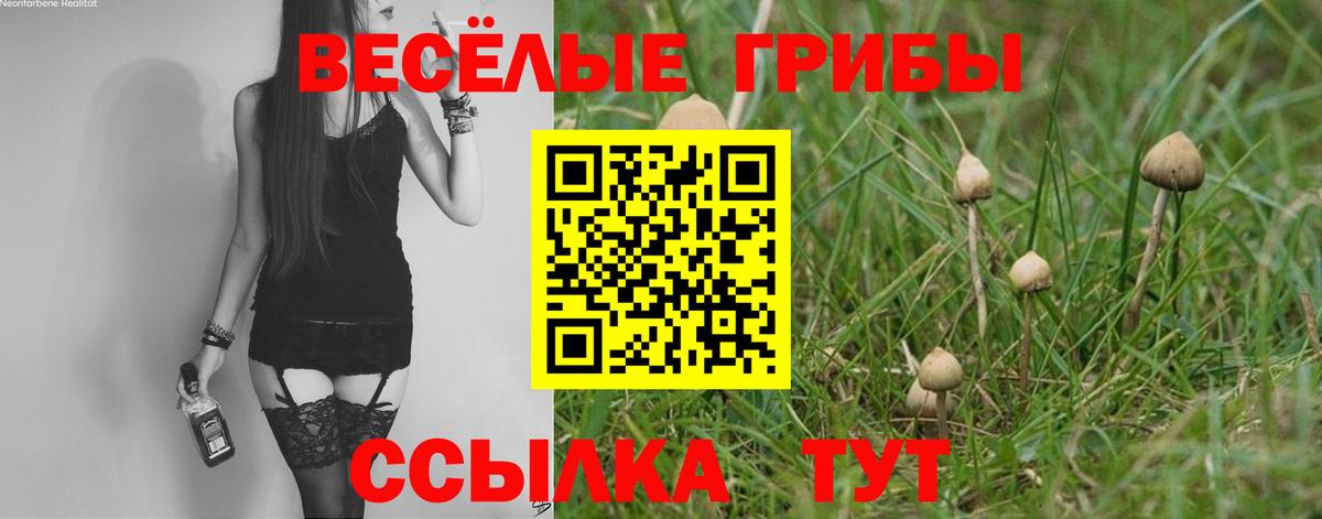 Лыткарино  Псилоцибиновые грибы мицелий  Вход с VPN 
